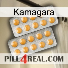 Kamagara levitra2